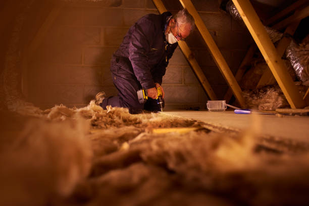 Professional Insulation Contractor in Triana, AL